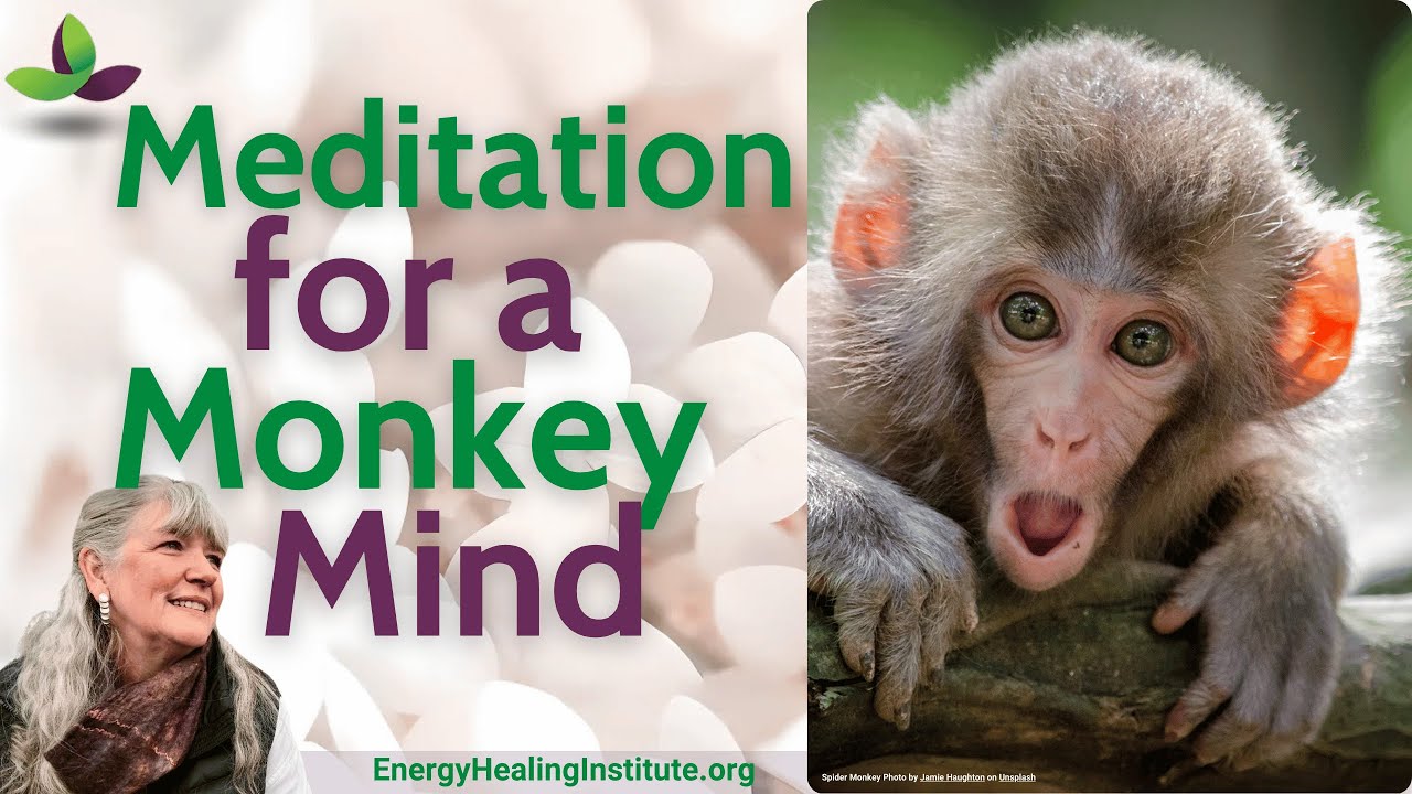 Energy Healing Meditation for a Monkey Mind