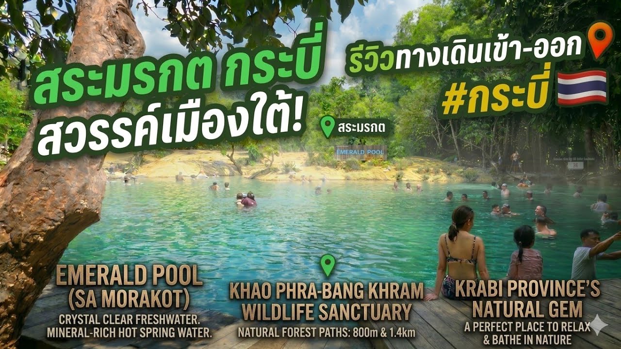 เดินไปสระมรกต กระบี่ ไกลไหม? รีวิวเส้นทาง | How to get to Emerald Pool Krabi (Walking Route)