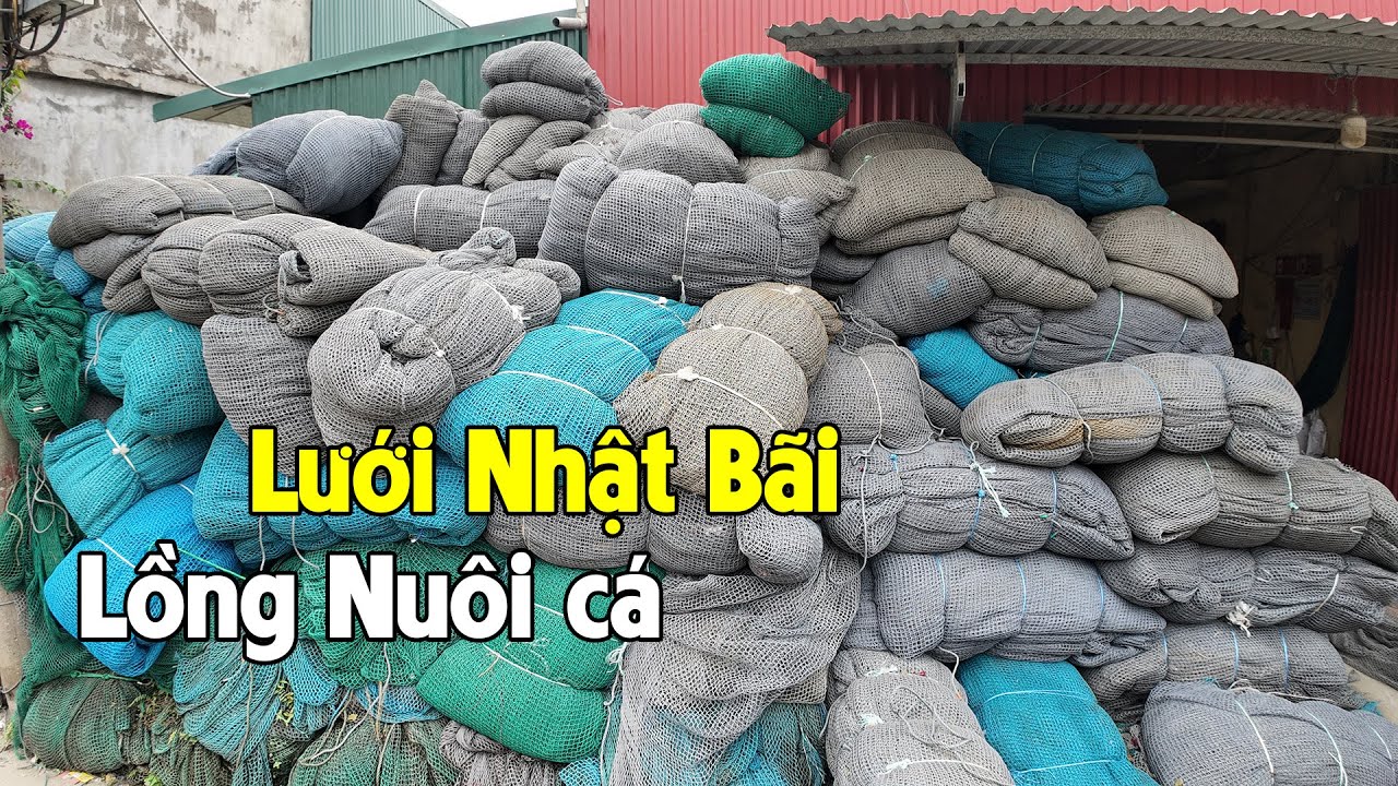 Phôi Lưới Nhật Bãi - Làm Lồng Nuôi Cá - Chặn Cá Theo Yêu Cầu | Zalo: 0396.23.9999