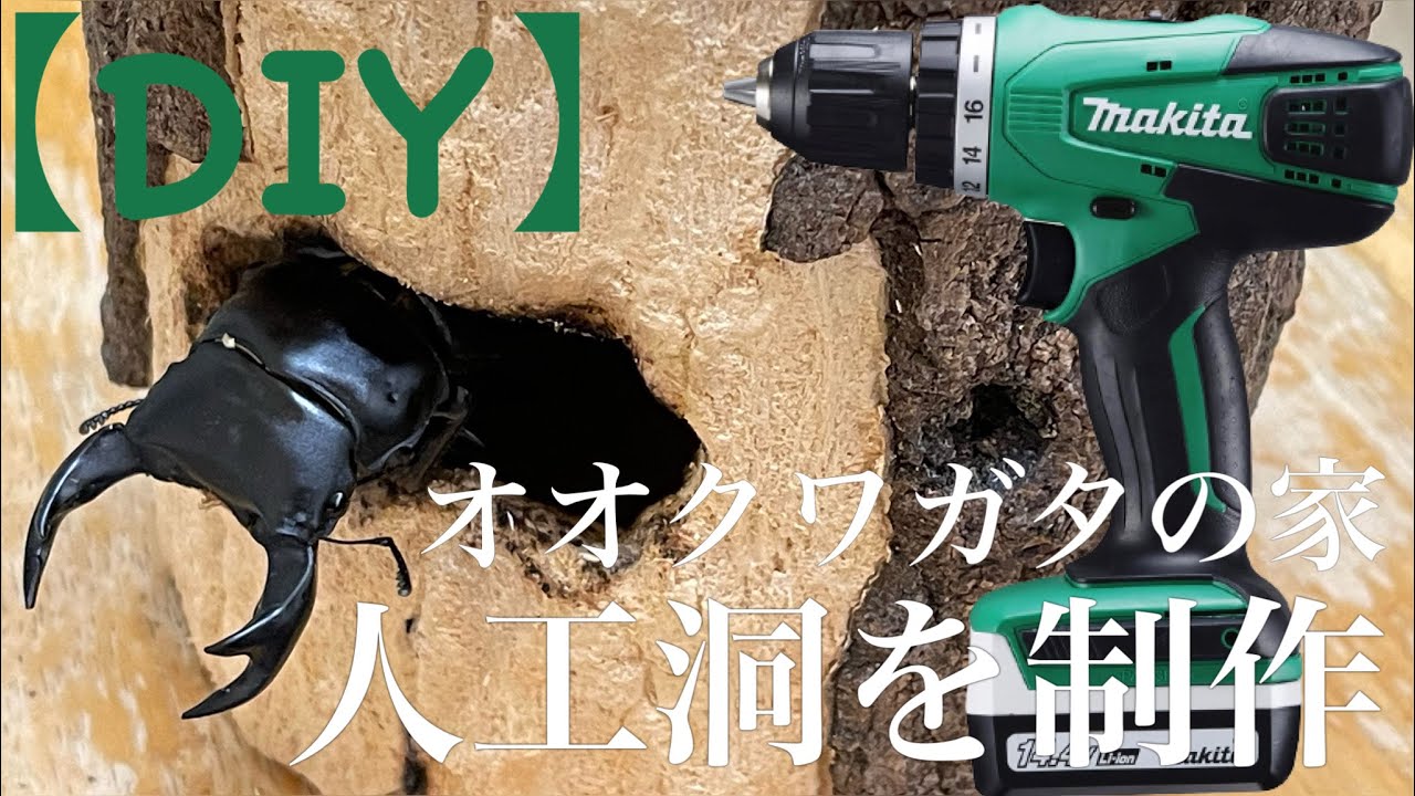 【オオクワガタ】DIY マキタの充電式ドライバドリルでオオクワガタの家になる人工洞を制作!!