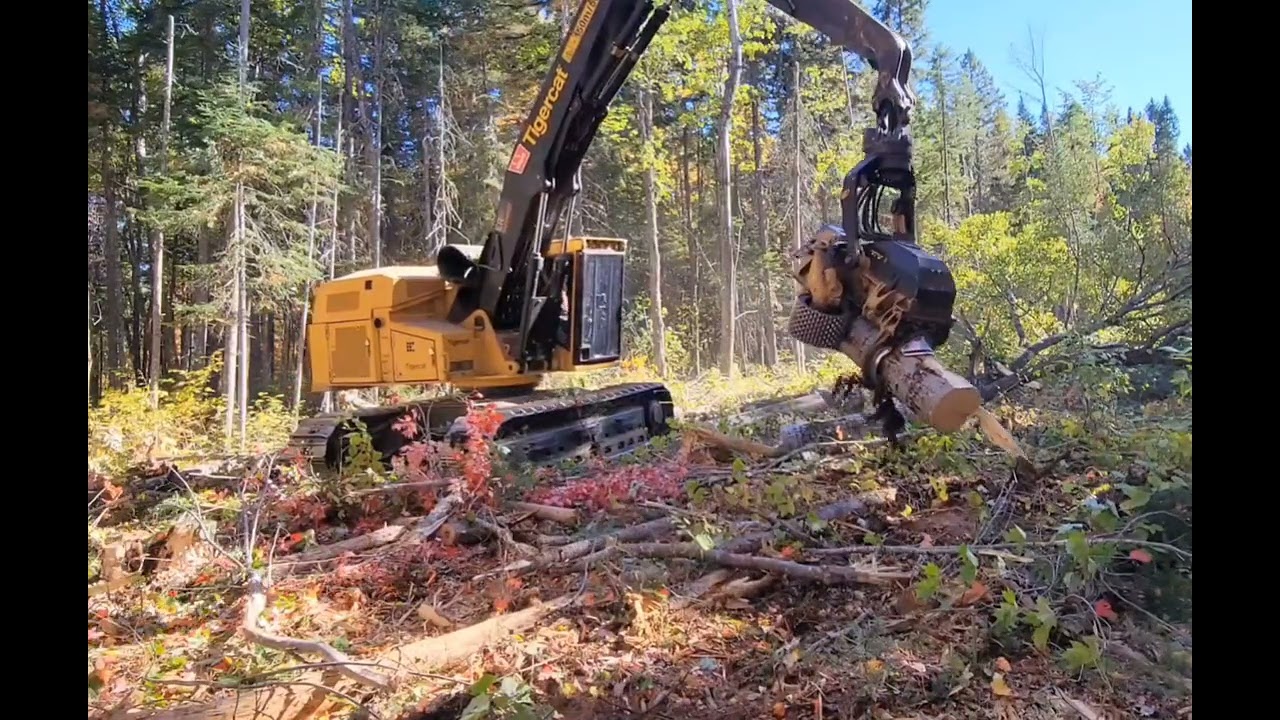 Tigercat 570