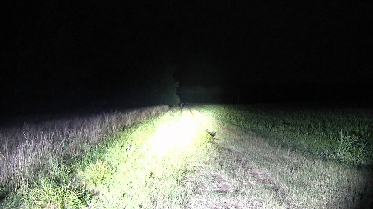 Going Gear Ep 6 - Ultimate Flashlight Comparison