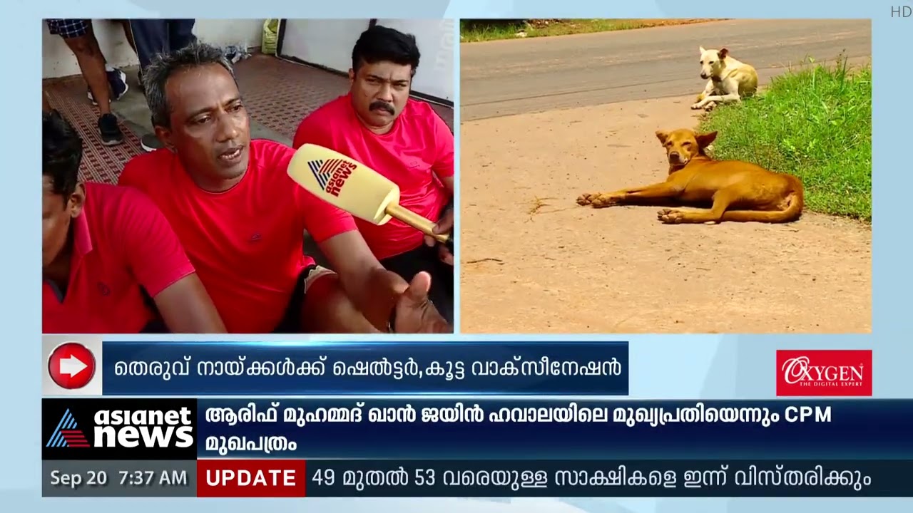 'പ്രശ്‌നമുണ്ടാക്കുന്നത് വീടുകളിൽ നിന്ന് തെരുവിലേക്ക് ഉപേക്ഷിക്കപ്പെടുമ്പോൾ | Stray Dog Attack