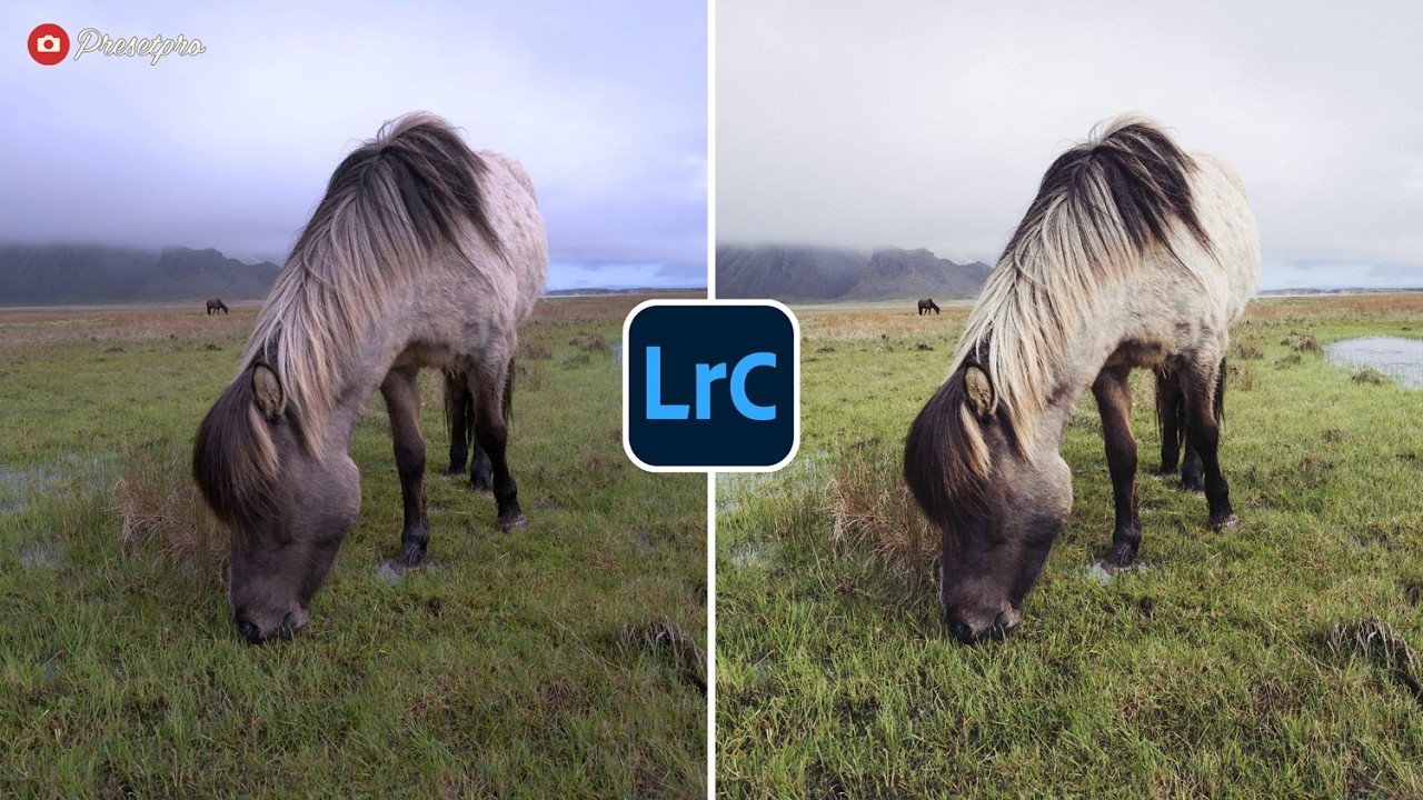 FREE Lightroom Preset inspired by Agfachrome RSX Film