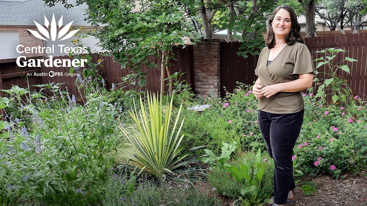 Drought-tough Cottage Design with Native Plants
