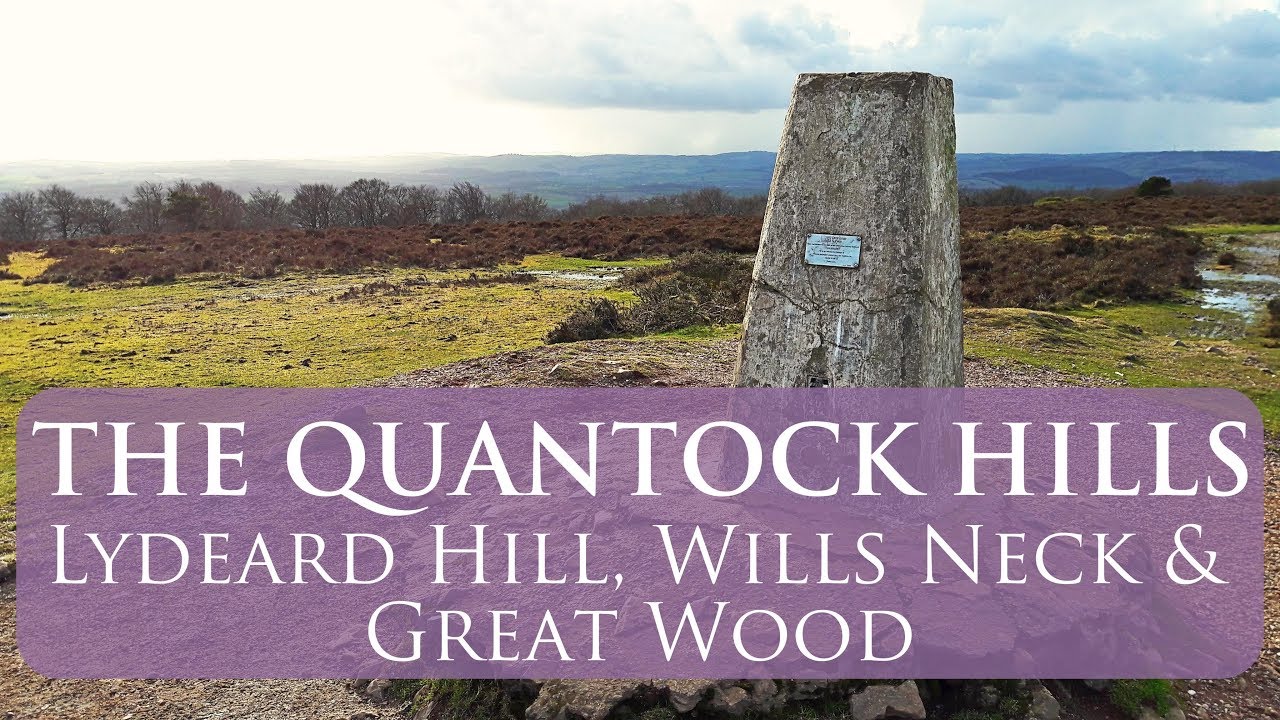 Quantocks Hills AONB | A walk around Lydeard Hill, Wills Neck and Great Wood