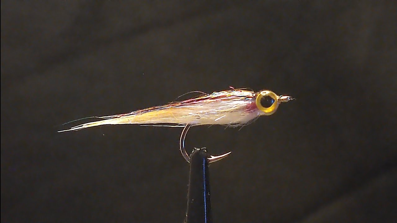 Baitfish