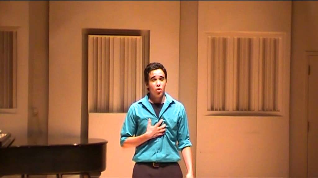 Build A Wall - Shrek the Musical (Romeo DiIenno)