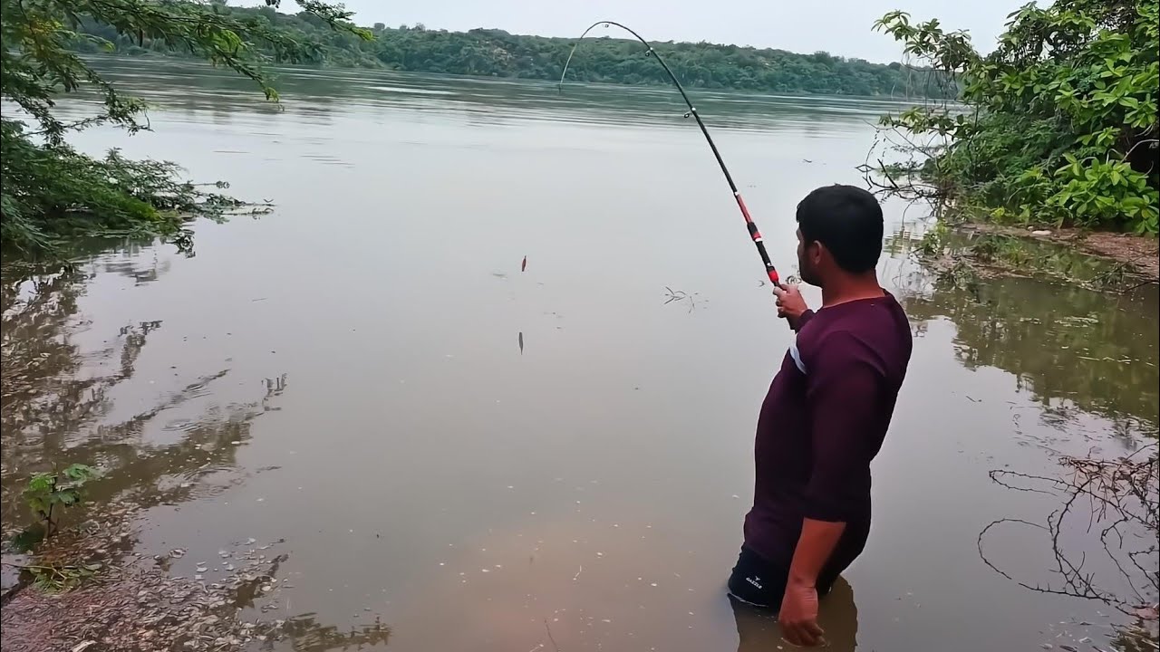 Unbelievable hook  fishing with earthworms bait caught so many fishes 😮