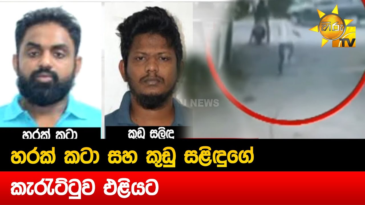 හරක් කටා සහ කුඩු සළිඳුගේ කැරැට්ටුව එළියට - Hiru News