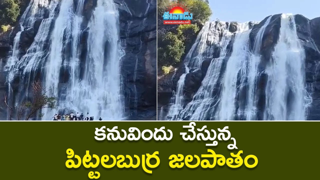 పిట్టలబుర్ర జలపాతం వద్ద పర్యాటకుల సందడి @eenadu-news