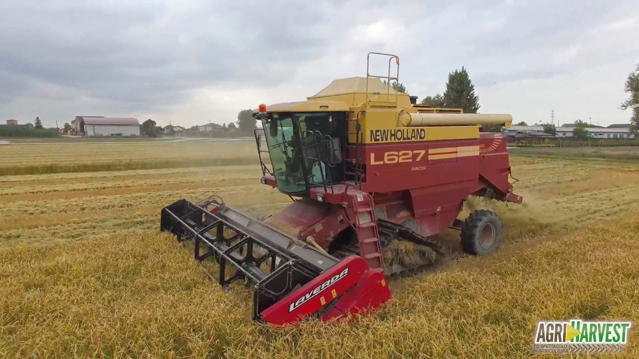 Rice harvesting with New Holland L627 MCS & 6m Laverda header | 4K