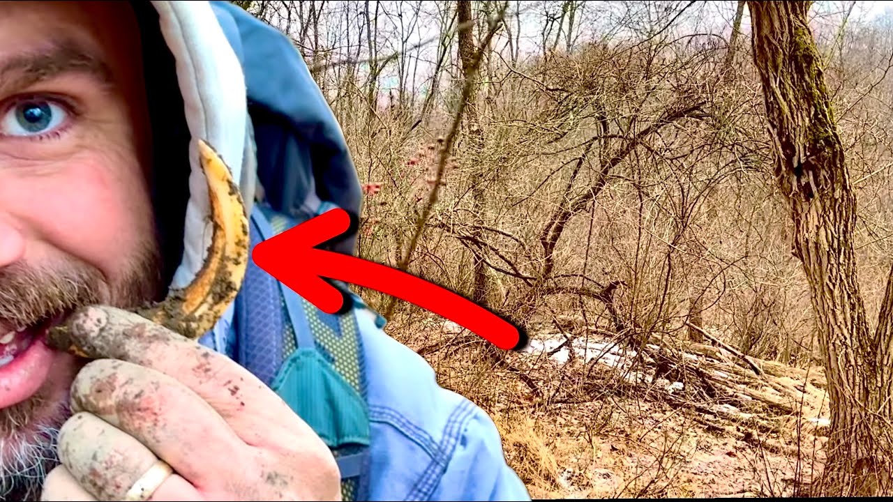 Something Very ODD Found Metal Detecting ! DPA Adventures