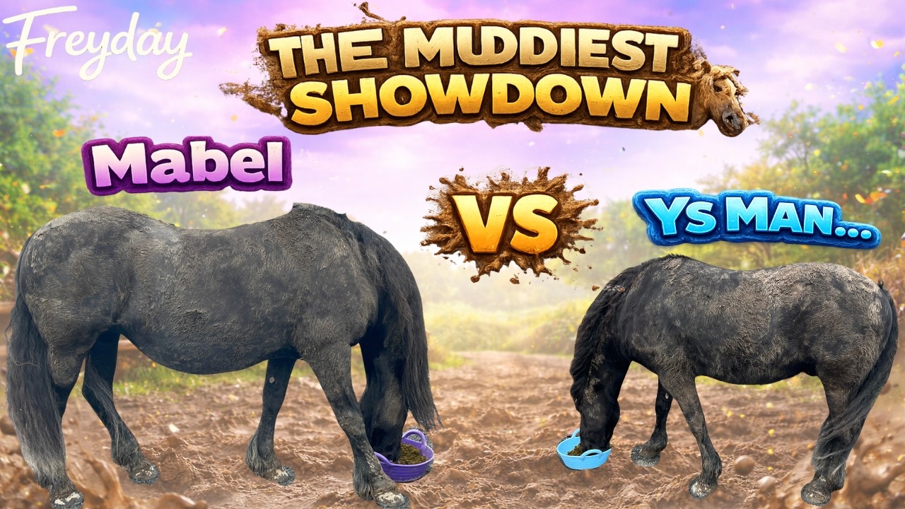 Фрейдей | Именинница 💜 Мейбл против Йса Мэна… Самое грязное противостояние 🤎🐴