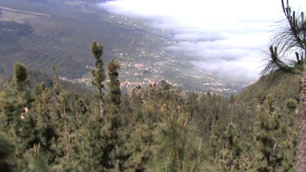 Desde el mirador de Chipeque - Teide