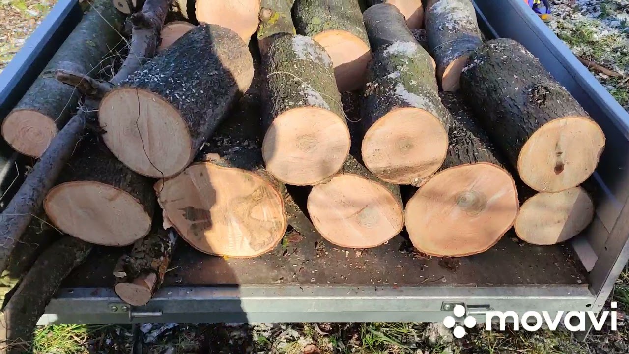 #29 Chińska piła spalinowa, Holzfforma G255, docieranie.