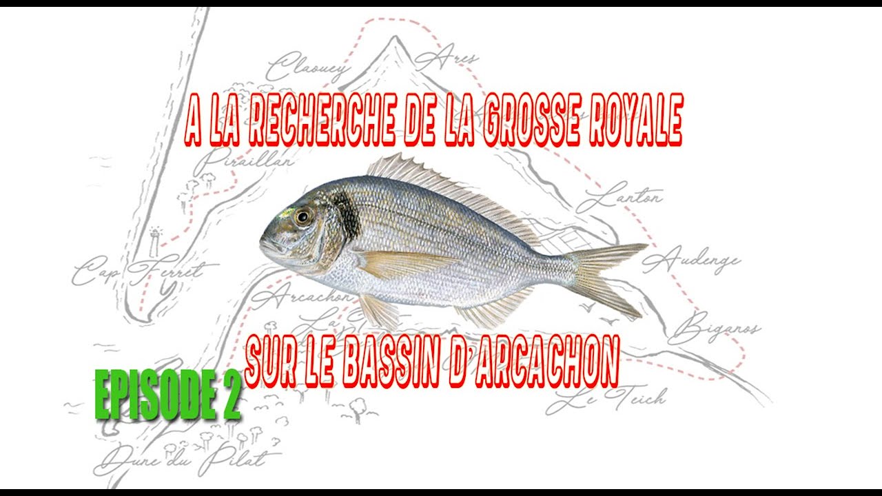 A la RECHERCHE de la GROSSE ROYALE sur le Bassin d'ARCACHON....Episode 2