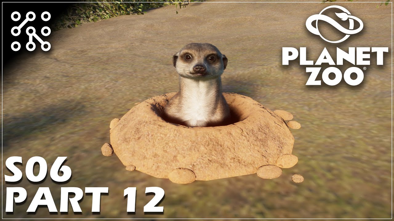Planet ZOO CZ | Surikata - #12 S06 | Lets play | Česky