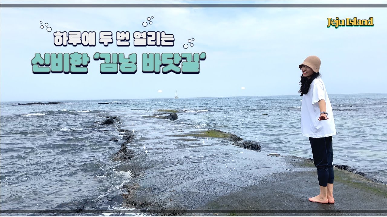 하루에 두번 열리는 신비한 바닷길 / 제주 구좌 김녕 바닷길