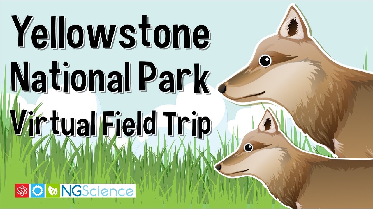Yellowstone National Park &ndash; Virtual Field Trip