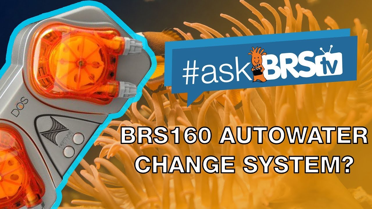 Is there a video for the Neptune DOS Auto Water Change on the BRS160? | #AskBRStv