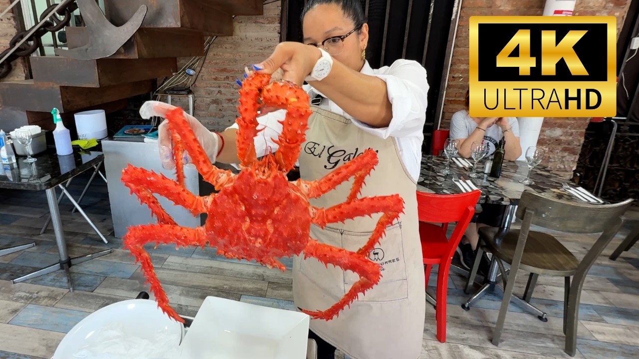 Santiago, Chile FOOD TOUR – Central Market, Fresh Seafood, & Street Eats in 4K!