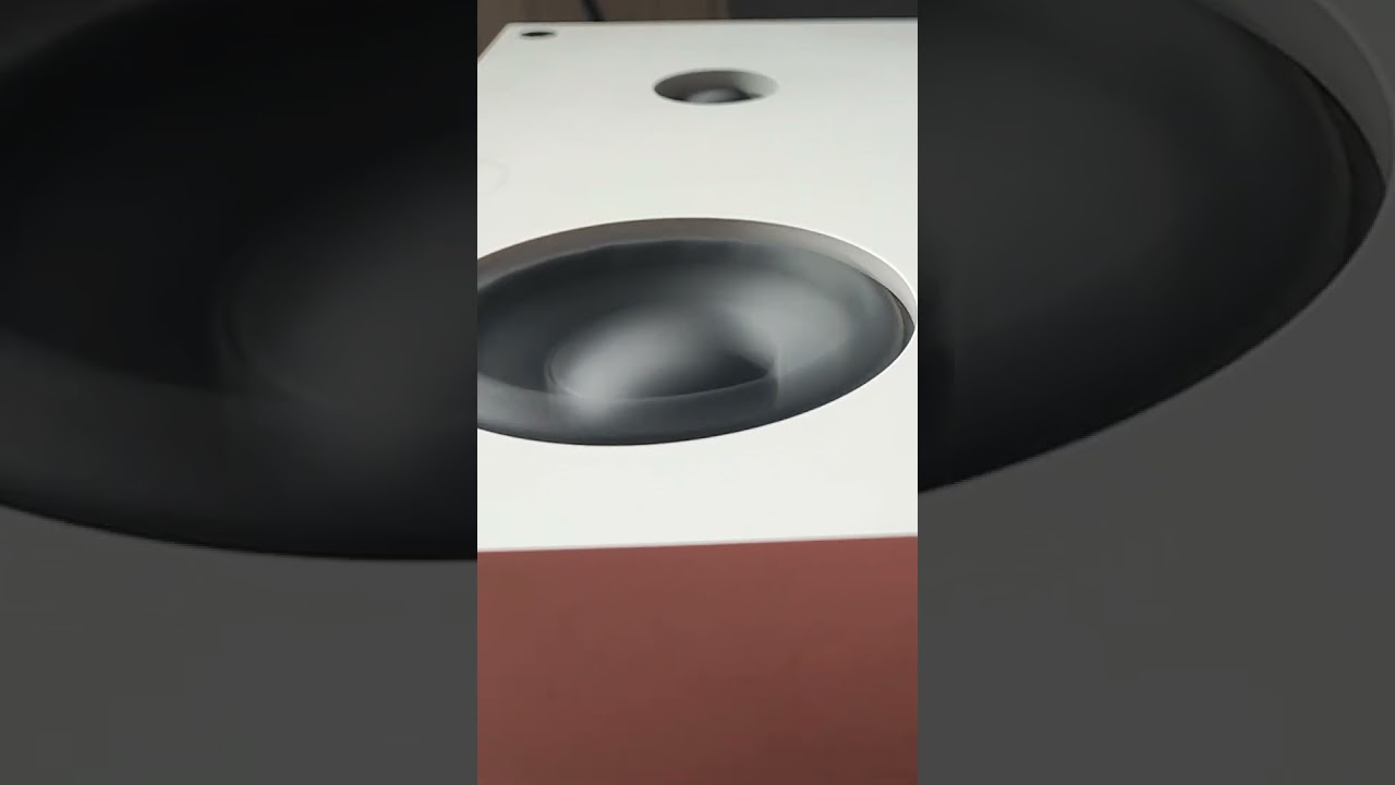 3 inch high excursion drivers going crazy in a Ikea speaker #excursion #basspumping