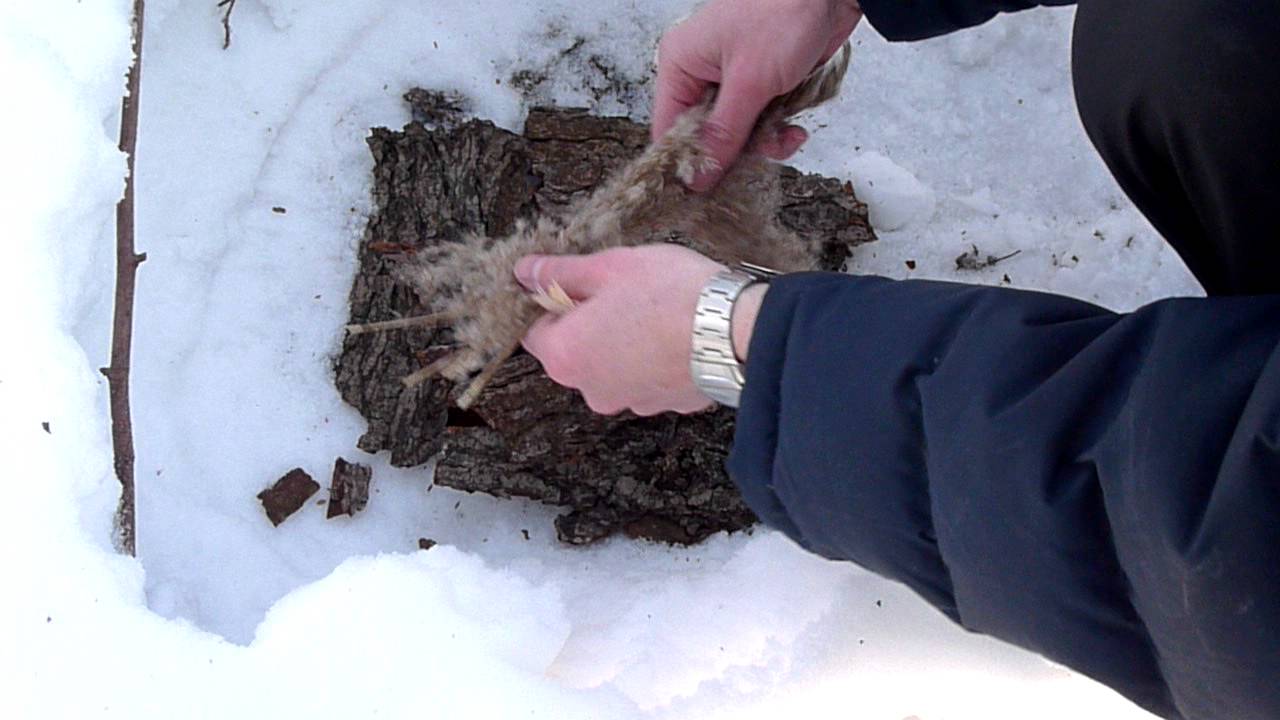 Разведение костра в зимнем лесу при помощи огнива. Костёр. Огниво.