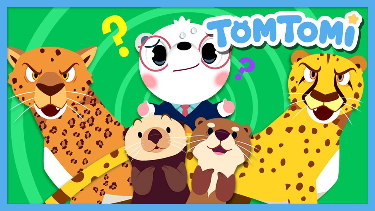Similar but Different Animals⁉ | Guess who's who?🤔 | Animal Name Quiz | Kids Song | TOMTOMI