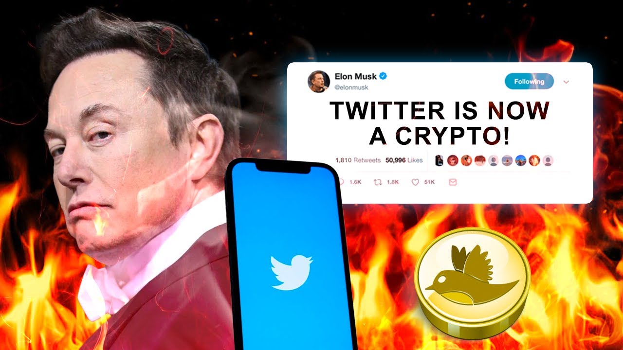Elon Musk REVEALED New Twitter Feature