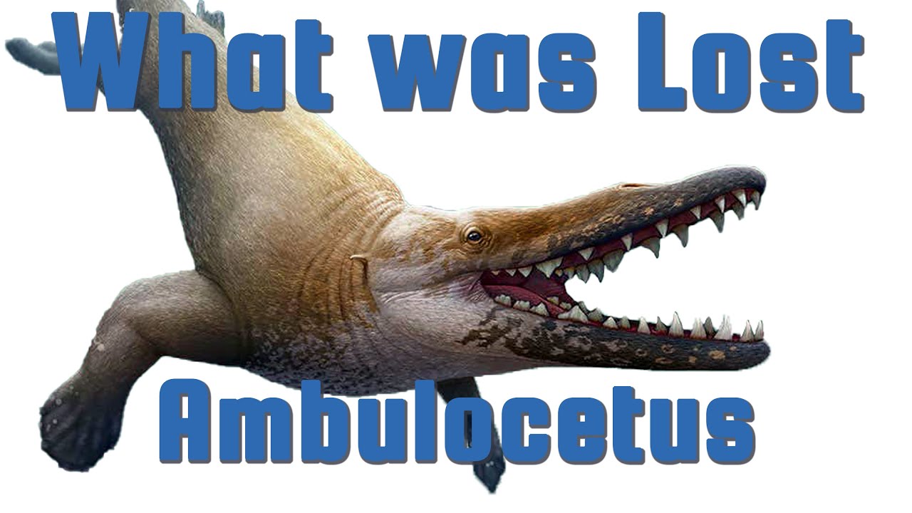 Ambulocetus - The Walking Whale -  What Was Lost Ep.6