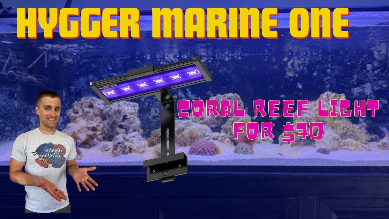 Распаковка и первый обзор светильника Hygger Marine One Coral Reef HG173