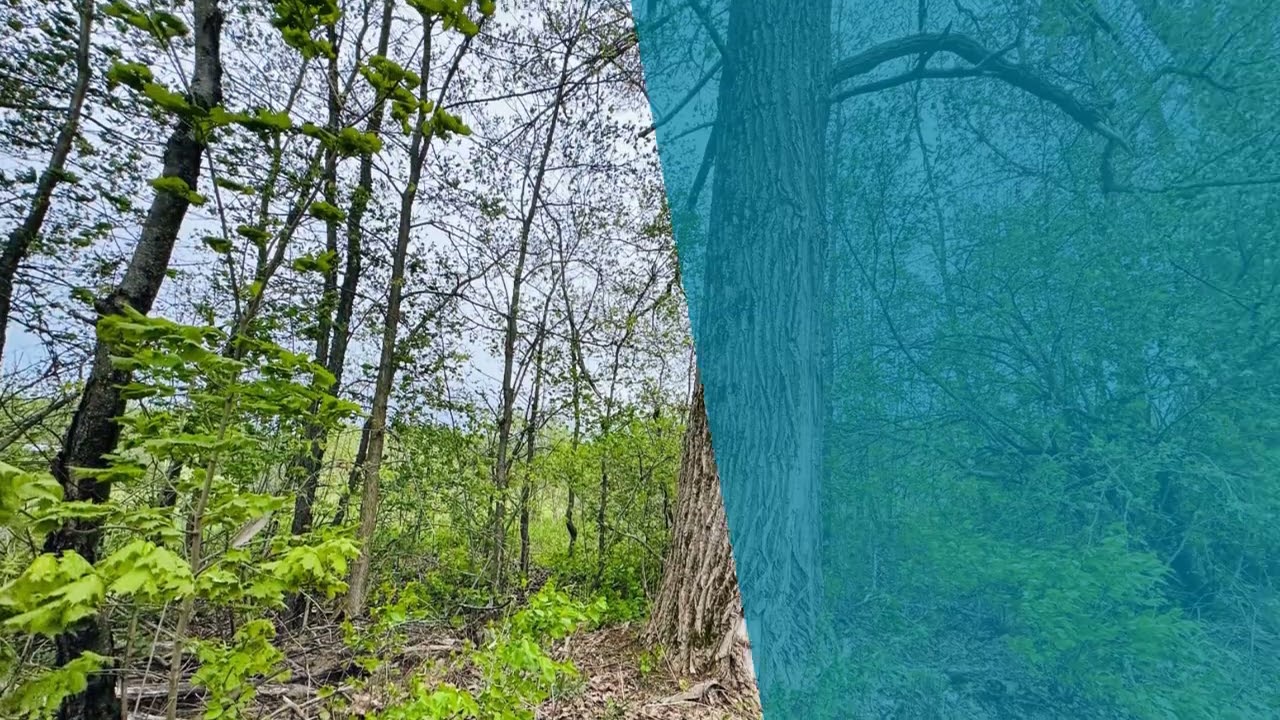 1.65 Acres!!