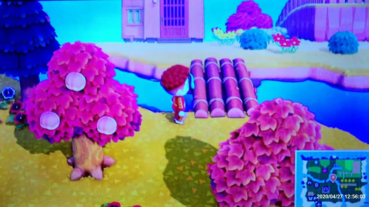 Kredit endlich abbezahlt. Animal Crossing auf der Nintendo Switch.