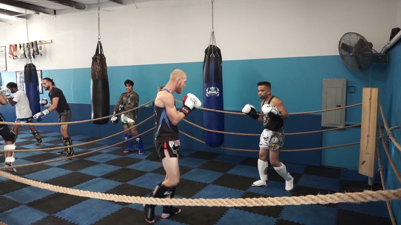 Technical Muay Thai (Light Sparring)