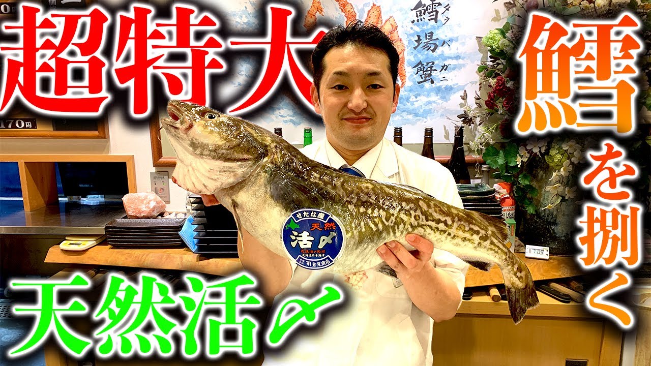 超特大天然活〆【鱈】を捌く