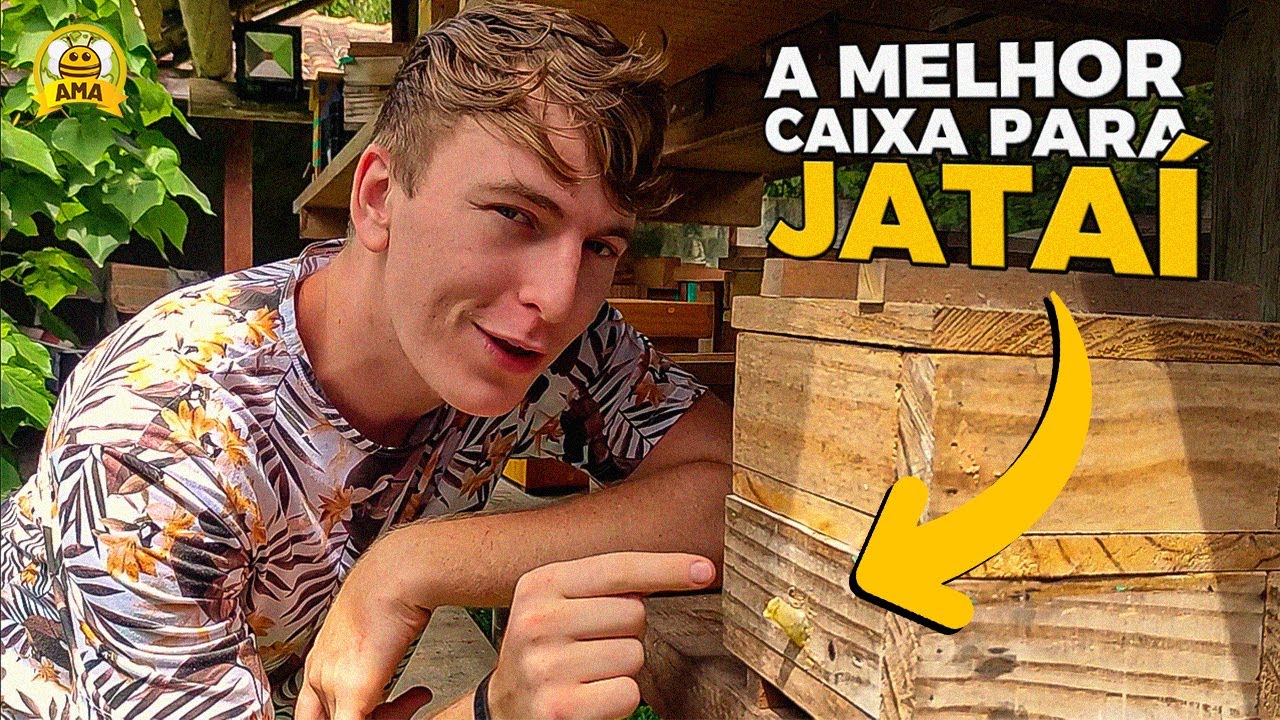 As MELHORES CAIXAS para criar abelha JATAÍ!