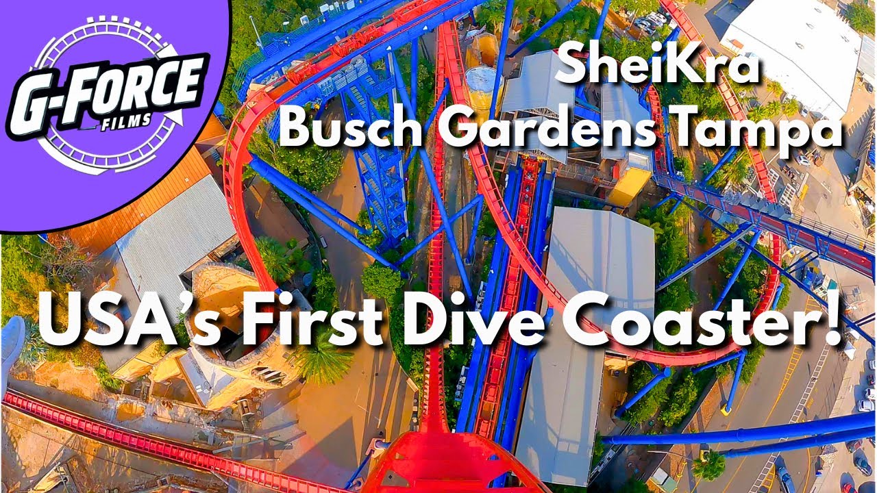 SheiKra front seat POV, Busch Gardens Tampa