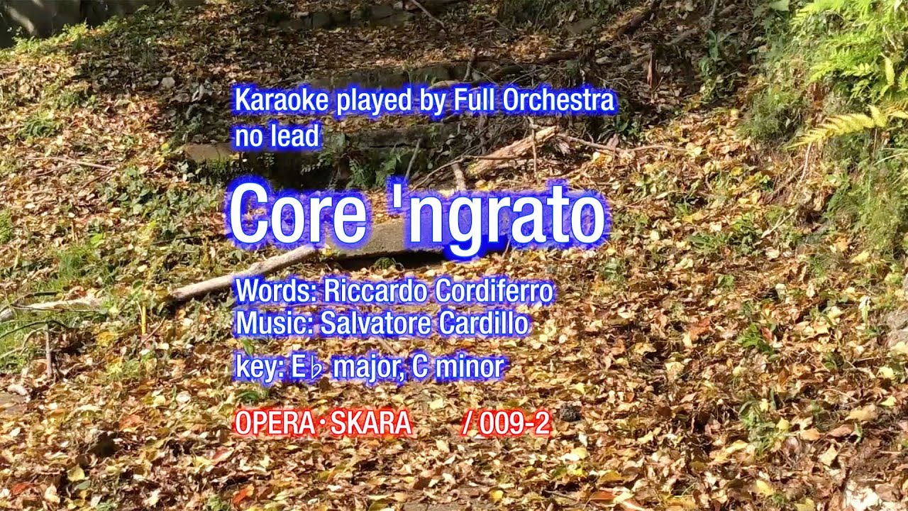 Core`n Grato - Karaoke, Full Orchestra for Pro(without lead instrument)