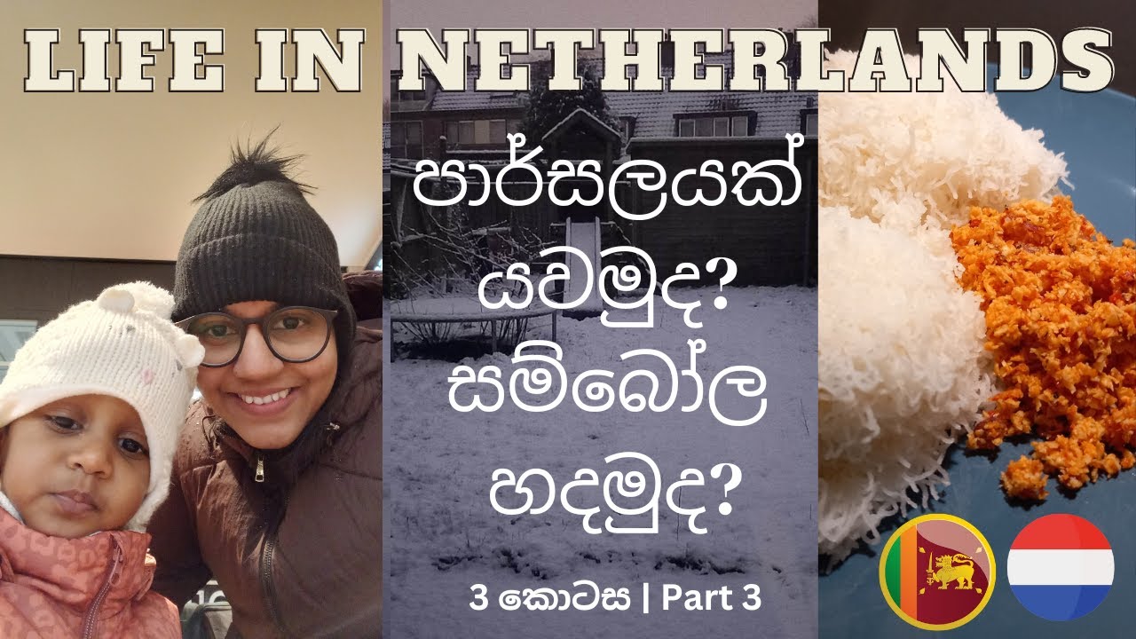 පාර්සලයක් යවමුද? සම්බෝල හදමුද? - Life In Netherlands - Our Story VLOG #17
