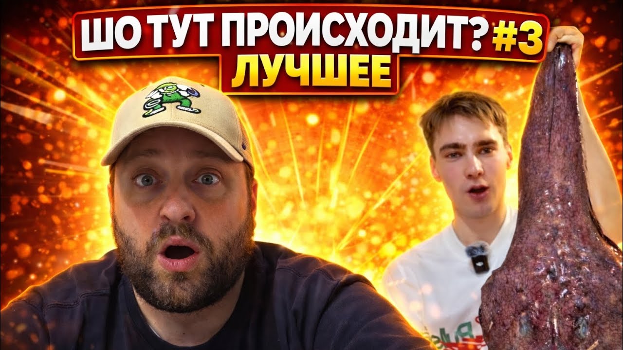 ШО ТУТ ПРОИСХОДИТ? #3 ЛУЧШЕЕ