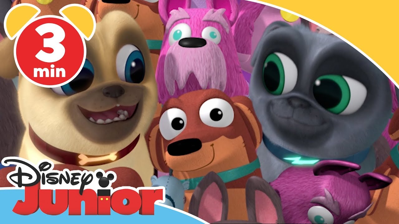 Valpevenner | Fikser Vovvov  - Disney Junior Norge