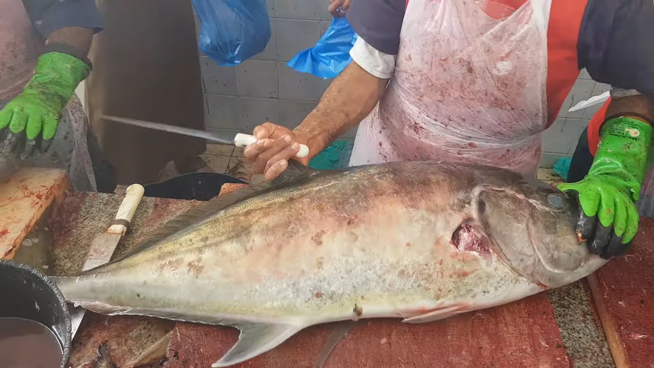 Biggest Fish Fillet Ever &ndash; Giant Fish Cutting Skills & Techniques