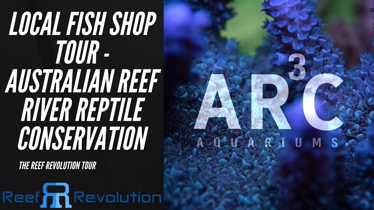 ARC Aquariums - Sydney LFS Tour