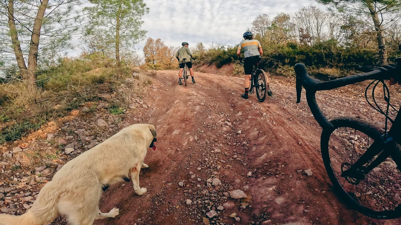 Gravel Diggers Sosyal Sürüş - 80km