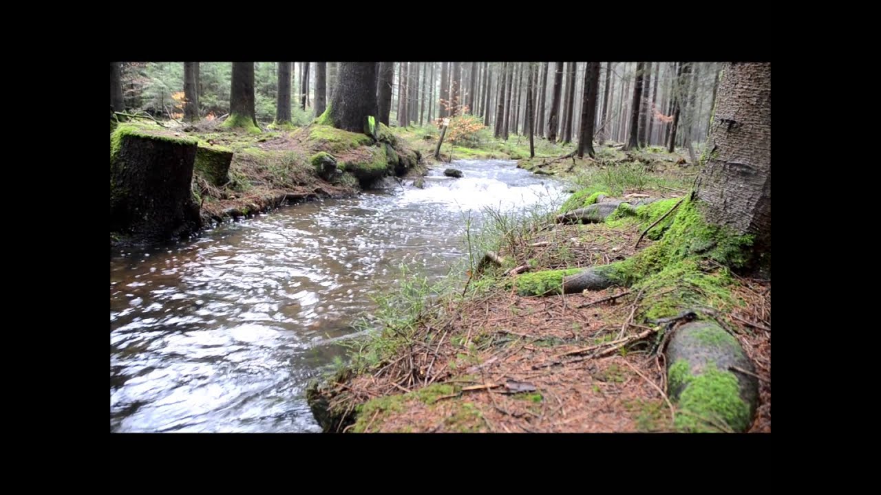 WasserWege