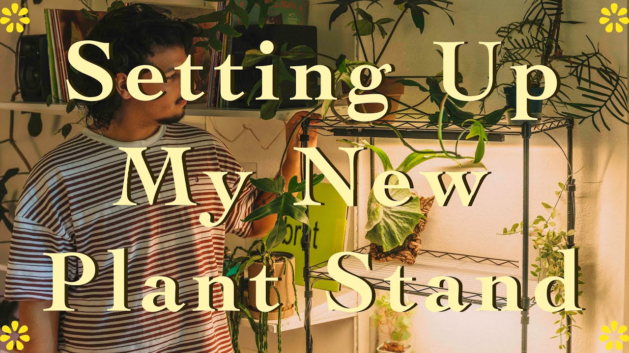 Building/Decorating My New Plant Stand║ Attempting to save my Anthuriums 🥲🪴