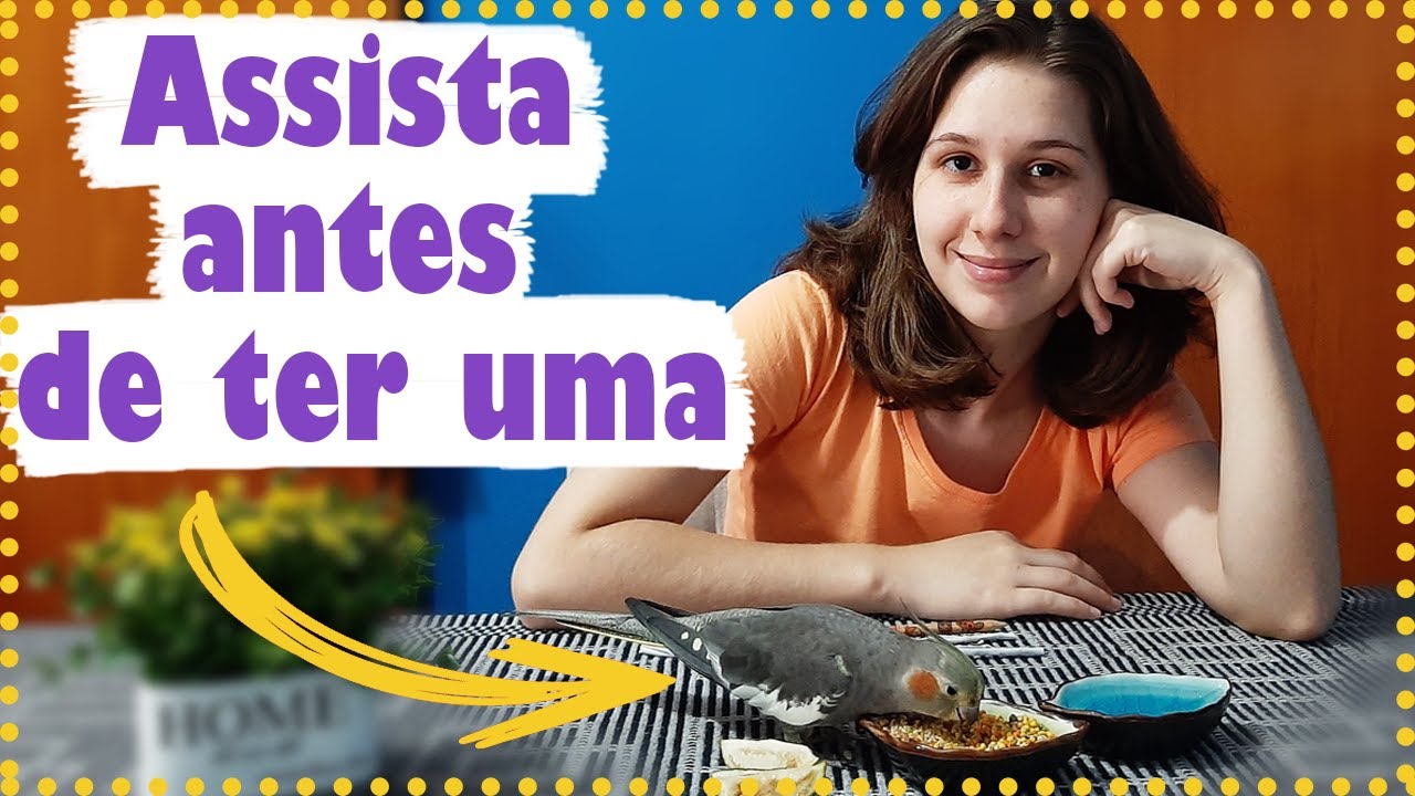 01- COMO É TER UMA CALOPSITA? DEVO TER OU NÃO?