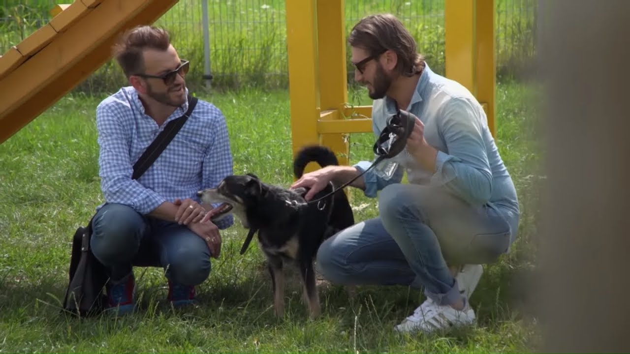 Rafał i Gabriel adoptowali psa: 