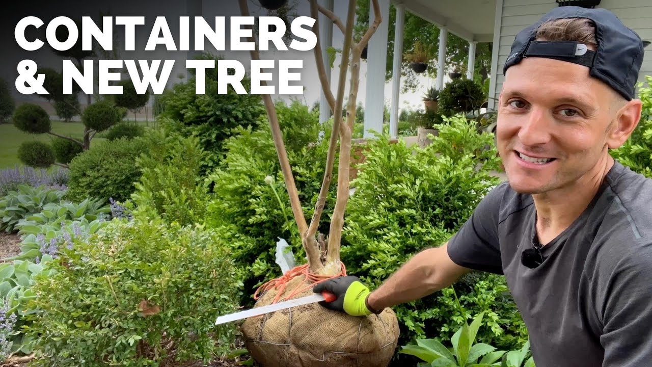 Planting Containers by My Front Walkway + New Small Tree | Gardening with Wyse Guide
